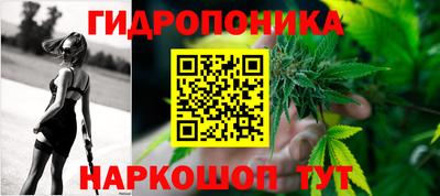 крисы Изобильный
