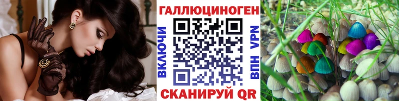 Псилоцибиновые грибы мухоморы  где купить наркоту  Муром 
