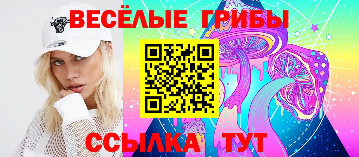 Муром  Галлюциногенные грибы Psilocybe  Вход с VPN 