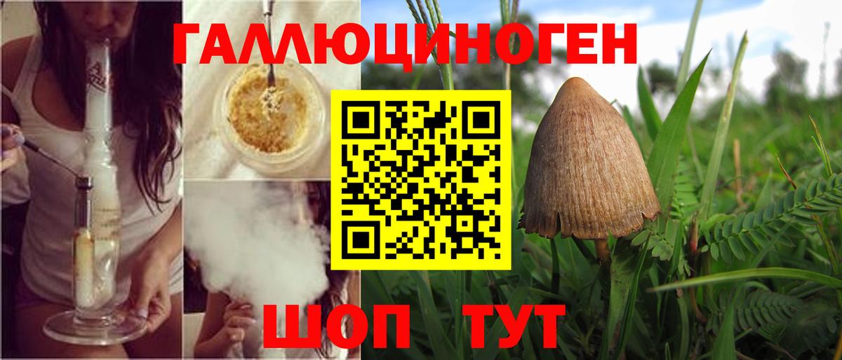 Псилоцибиновые грибы MAGIC MUSHROOMS Муром